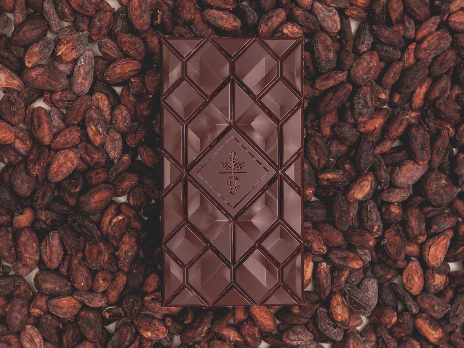 Beau cacao chocolat bean to bar micro batch briancon hautes alpes