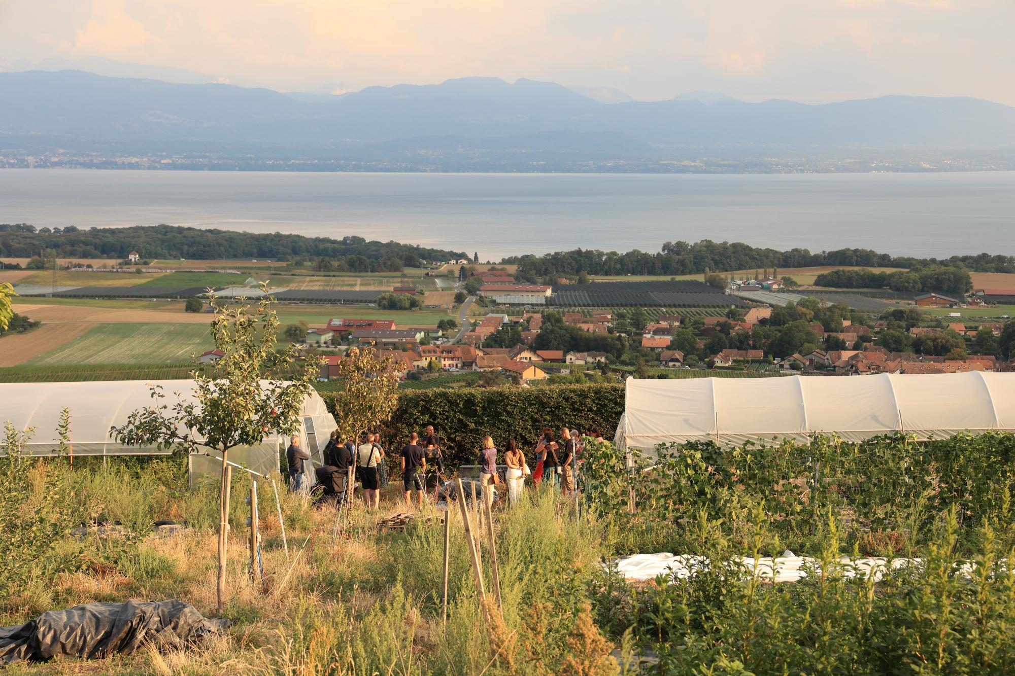 visite-ferme-biodynamie