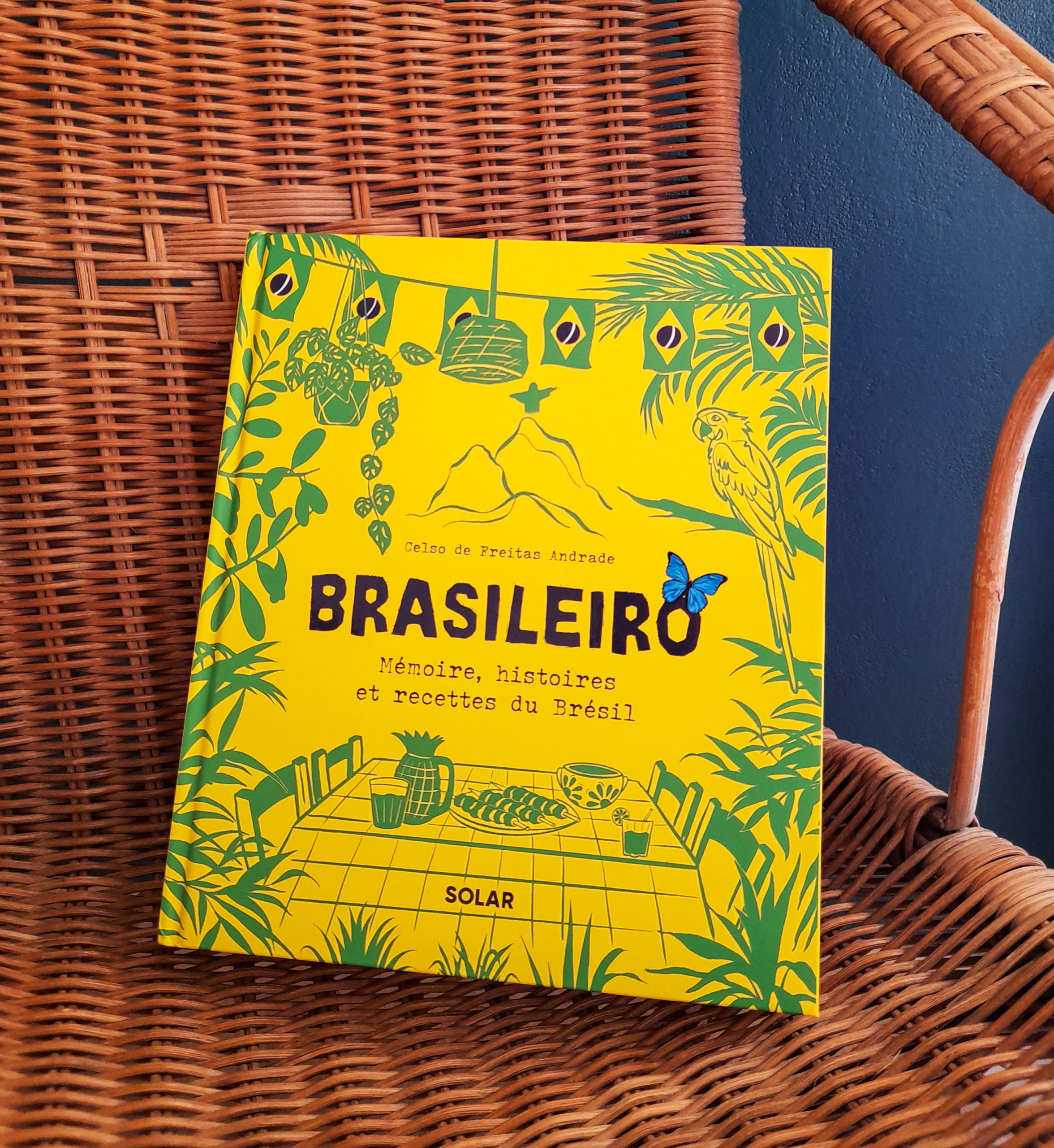 Brasileiro beau livre illustre de cuisine bresilienne direction artistique mise en page maquette graphiste